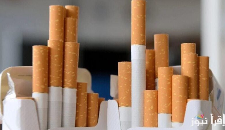 Today's local and imported cigarette prices, Thursday, January 23, 2025 in Egypt